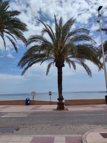 Sale of flat in Piso en Calle de Colón, Campello Playa, El Campello, El Campello
 photo 2