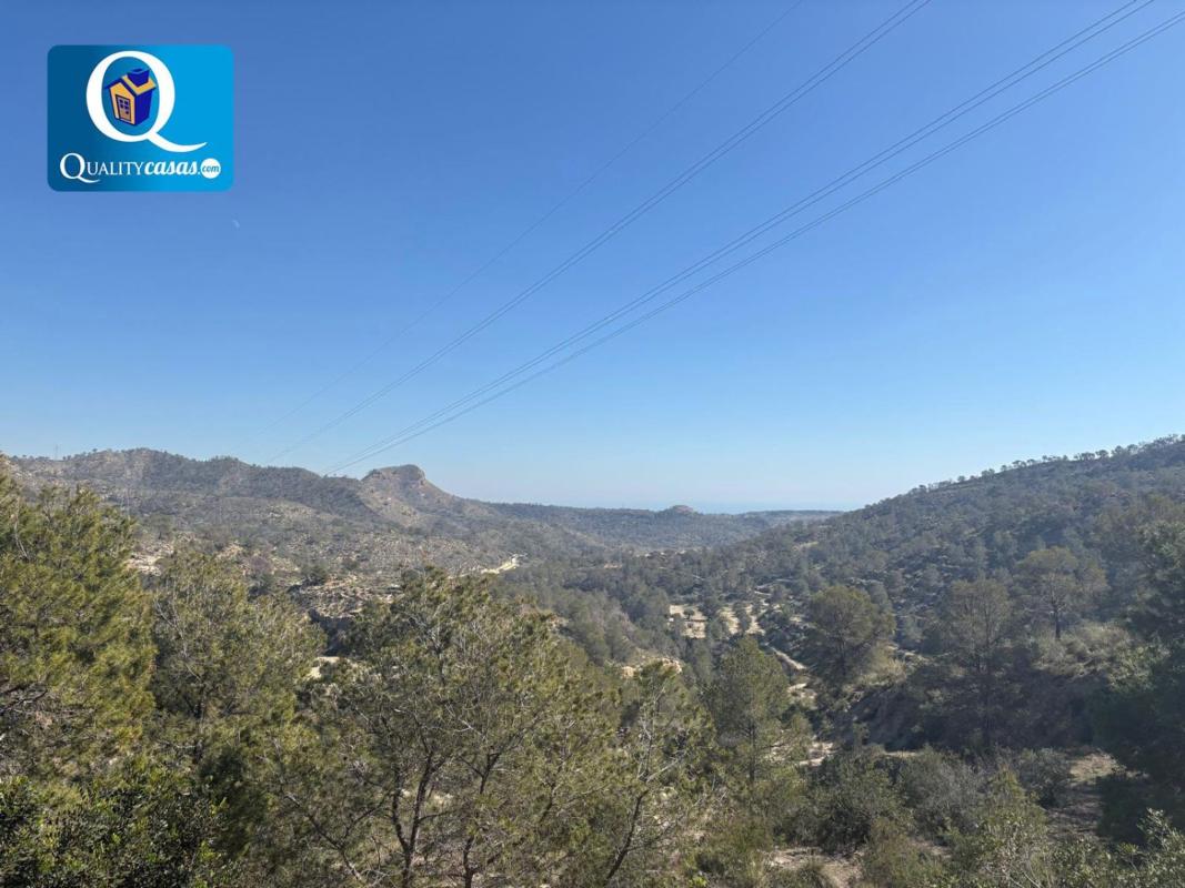 Properties for sale and rent in Spain photo 4