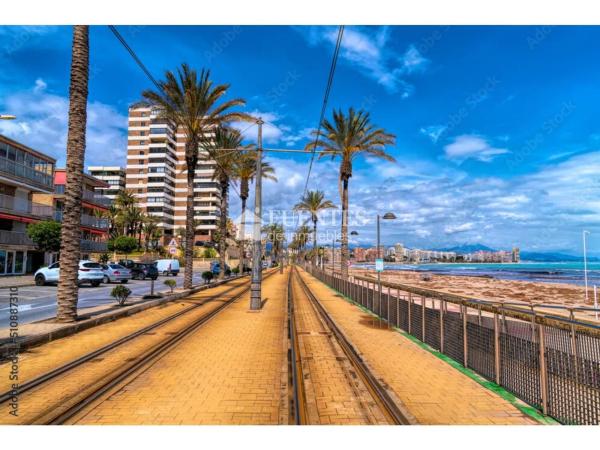 Sale of flat in Piso en Calle Sant Bartomeu, Campello Playa, El Campello, El Campello
 photo 3