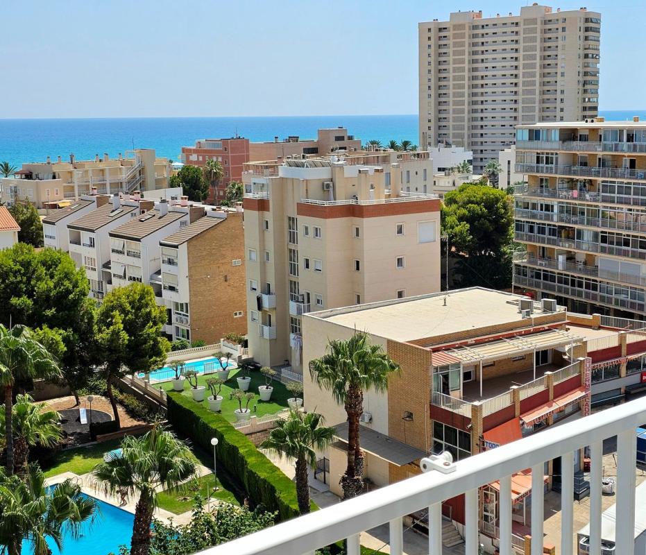 Sale of apartment in Piso en Avenida d'Alacant, 13, Playa Muchavista, El Campello, El Campello
photo 4