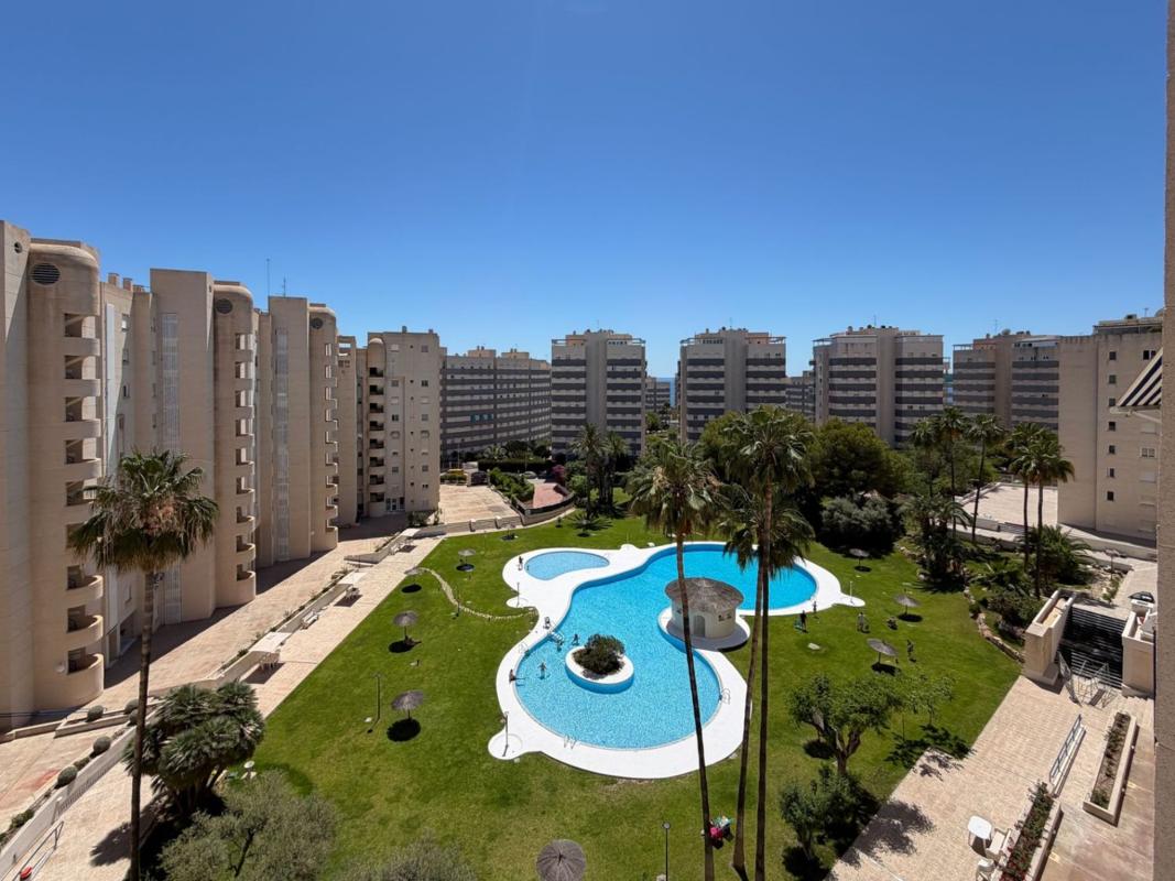 Sale of apartment in Piso en Camino de Fondo, Playa Muchavista, El Campello, El Campello
photo 1
