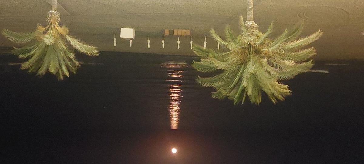 Sprzedaż mieszkania w Piso en Avenida Jaime I el Conquistador, 30, Playa Muchavista, El Campello, El Campello
 photo 5