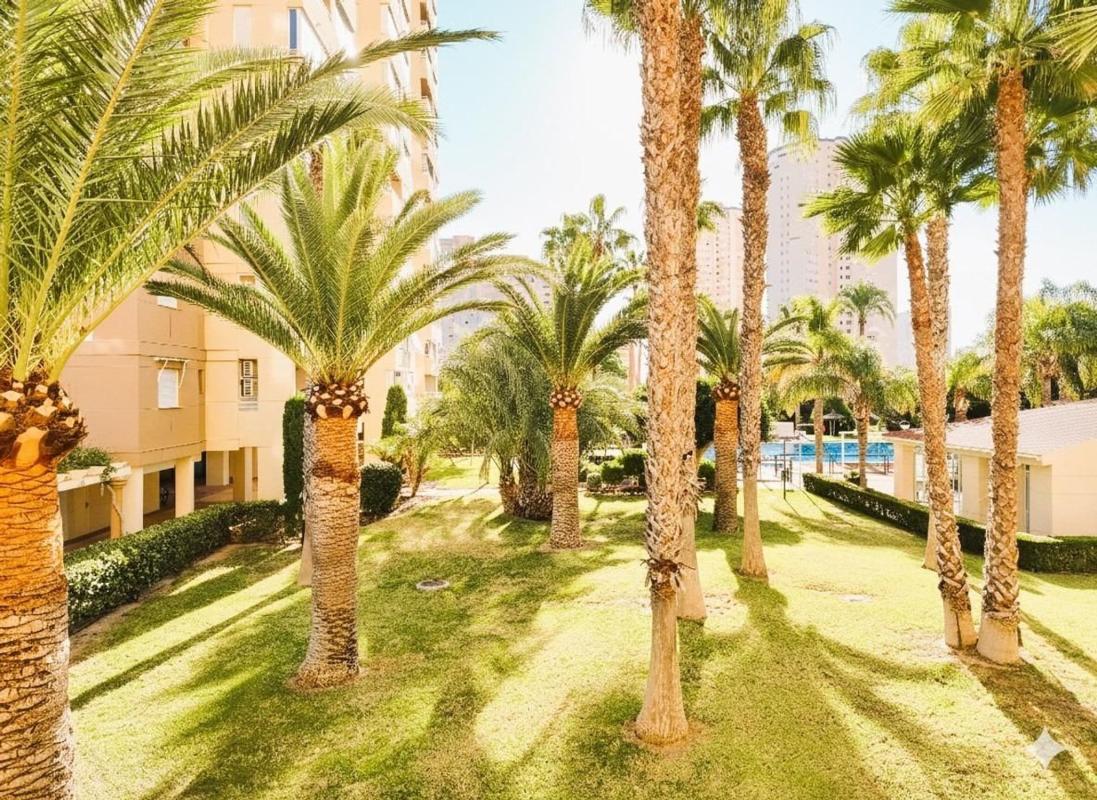 Sprzedaż mieszkania w Piso en Avenida del Fabraquer, Playa Muchavista, El Campello, El Campello
photo 1