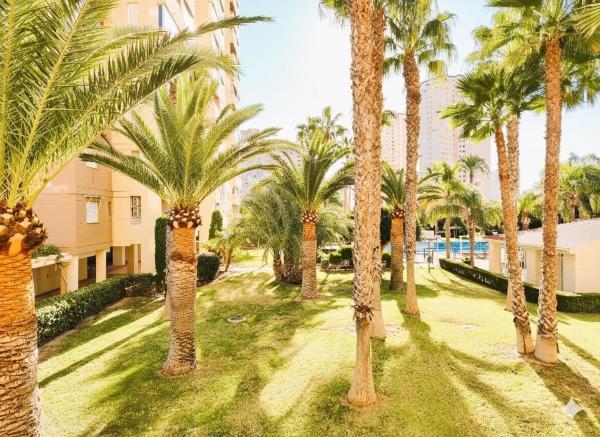 Venta de piso en Piso en Avenida del Fabraquer, Playa Muchavista, El Campello, El Campello
photo 1