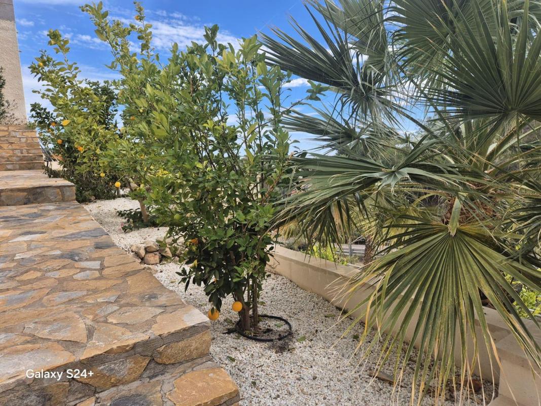 Properties for sale and rent in Spain photo 3
