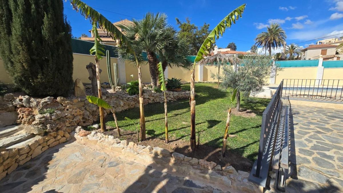 Properties for sale and rent in Spain photo 5