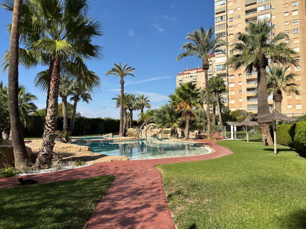 Venta de piso en Piso en CL l'Hisenda l'Administrador, 5, Playa Muchavista, El Campello, El Campello
 photo 3