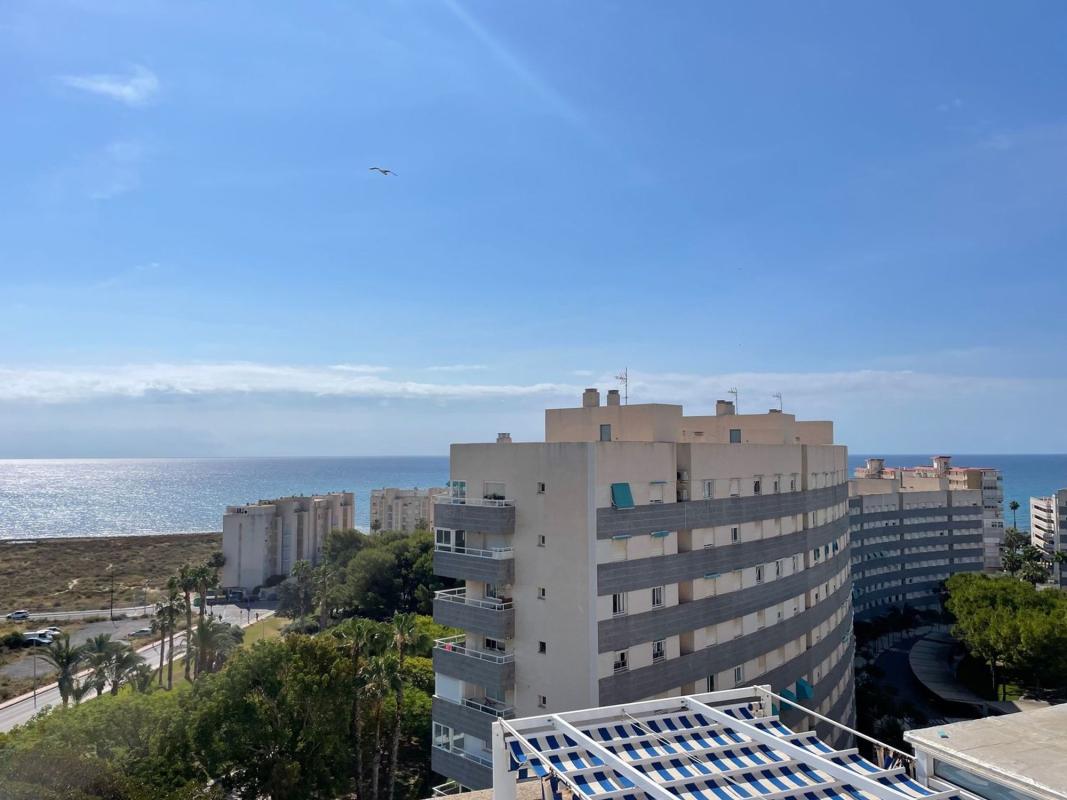 Sprzedaż duplexu w Dúplex en Camino de Fondo, Playa Muchavista, El Campello, El Campello photo 3