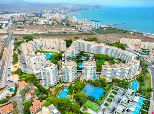 Duplex en venta en Dúplex en Camino de Fondo, Playa Muchavista, El Campello, El Campello photo 2