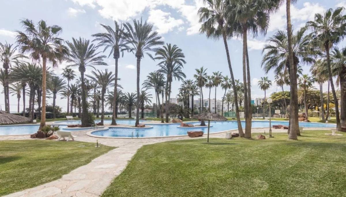 Sale of apartment in Piso en Calle d'Alboran, 1, Playa Muchavista, El Campello, El Campello
 photo 3