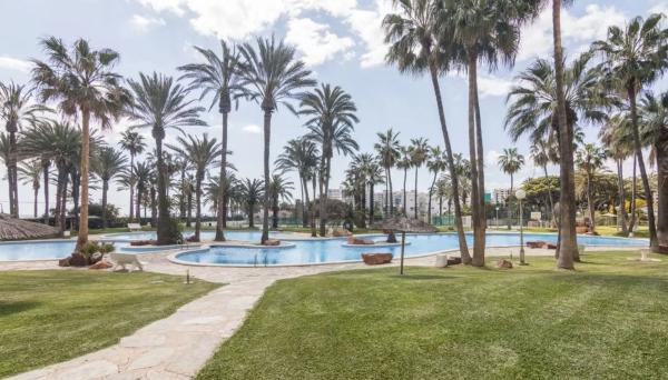 Venta de piso en Piso en Calle d'Alboran, 1, Playa Muchavista, El Campello, El Campello
 photo 3
