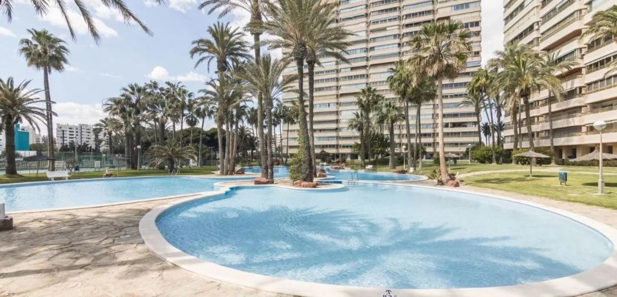 Sale of apartment in Piso en Calle d'Alboran, 1, Playa Muchavista, El Campello, El Campello
 photo 4