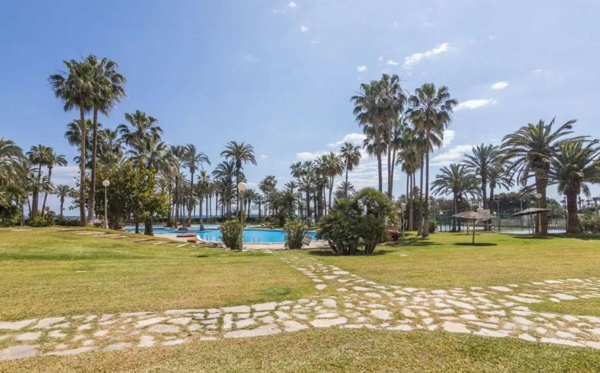 Sale of apartment in Piso en Calle d'Alboran, 1, Playa Muchavista, El Campello, El Campello
 photo 5