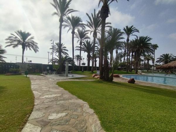 Venta de piso en Piso en Avenida Jaime I el Conquistador, Playa Muchavista, El Campello, El Campello
 photo 3