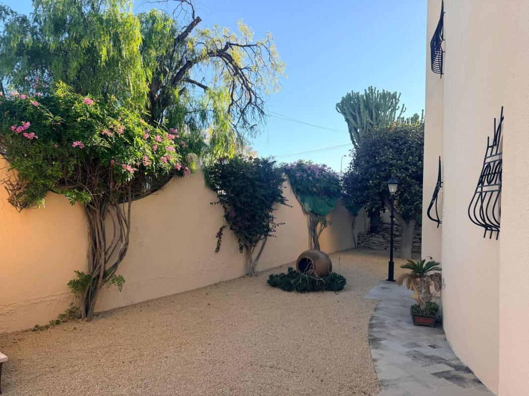 Properties for sale and rent in Spain photo 3