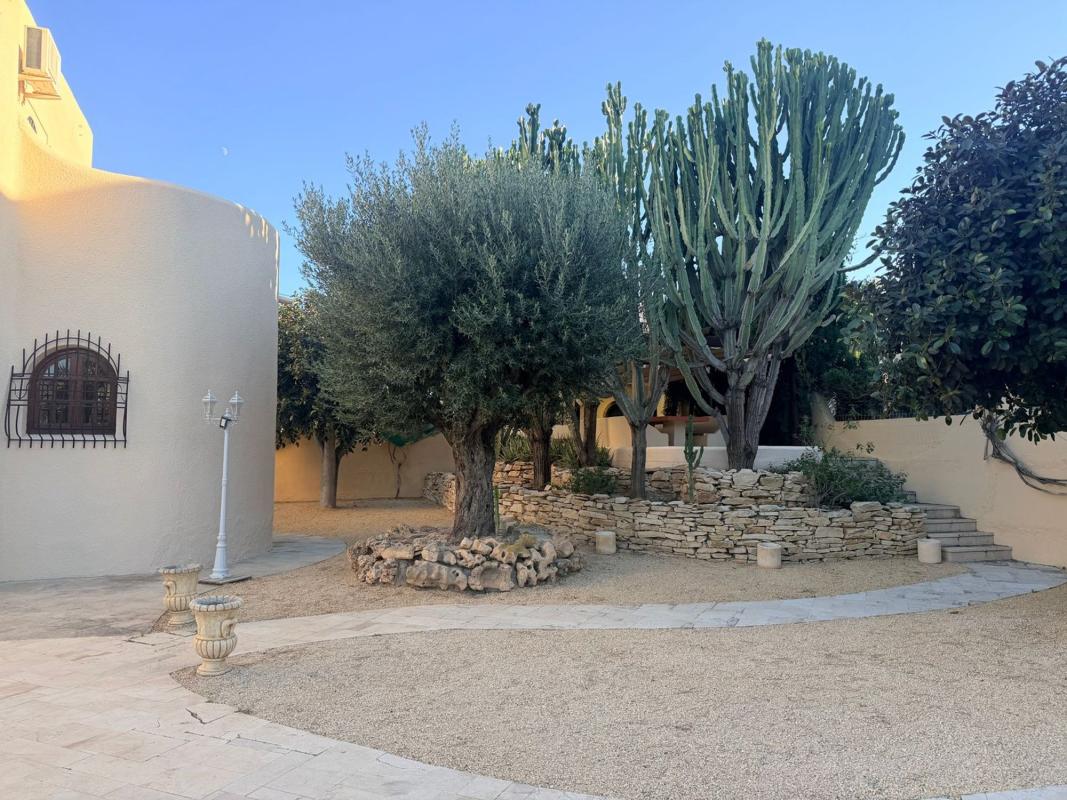 Properties for sale and rent in Spain photo 5