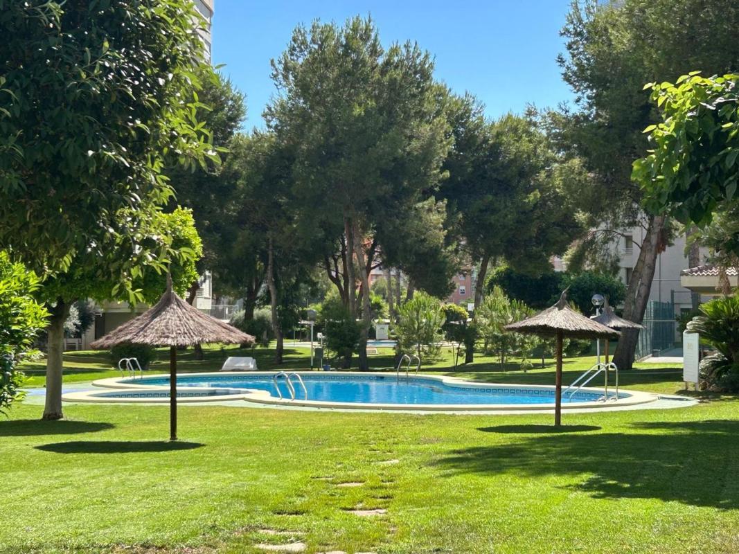 Venta de piso en Piso en Avenida Oviedo, 15, Playa de San Juan, Alicante / Alacant, Alicante / Alacant
photo 3