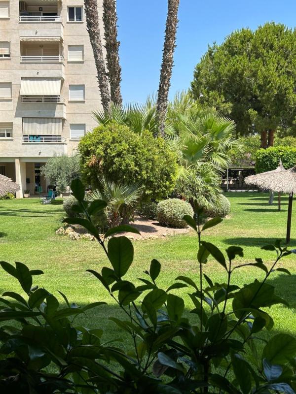 Venta de piso en Piso en Avenida Oviedo, 15, Playa de San Juan, Alicante / Alacant, Alicante / Alacant
photo 5