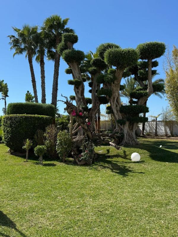 Properties for sale and rent in Spain photo 2