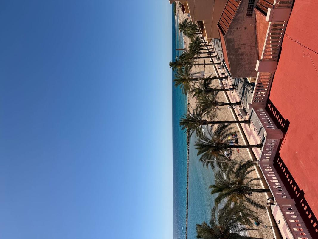 Properties for sale and rent in Spain photo 2