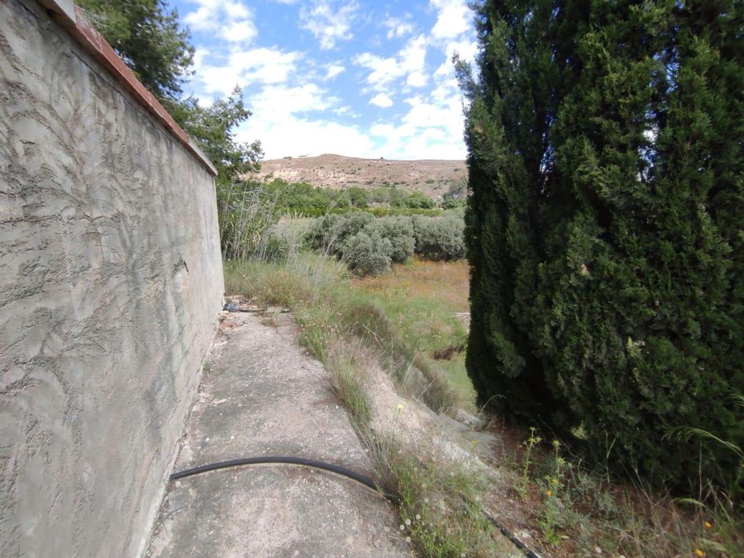 Продажа отдельного шале в  Casa o chalet en Fuente Gilo, 14, Pedanías Este, Aspe, Аспе photo 3