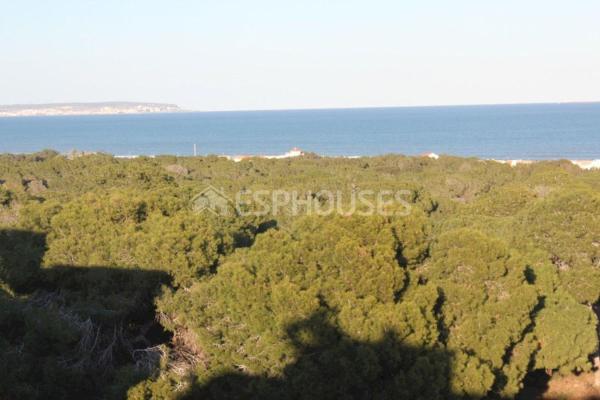 Venta de piso en Piso en Zona Pueblo, Guardamar del Segura, Guardamar del Segura
photo 1