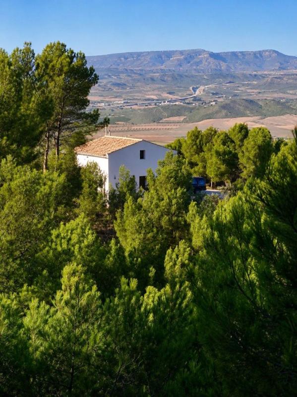Propiedades en venta y alquiler en España photo 2