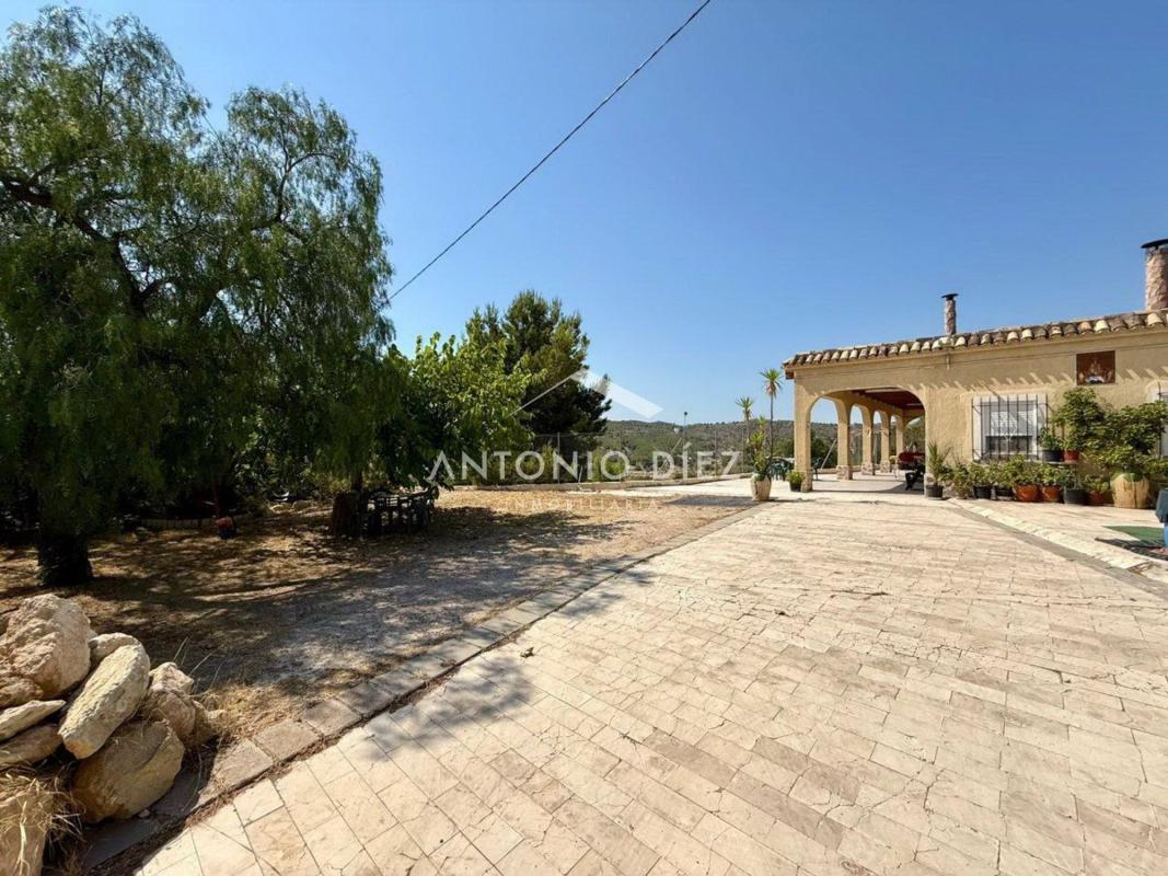 Propiedades en venta y alquiler en España photo 4