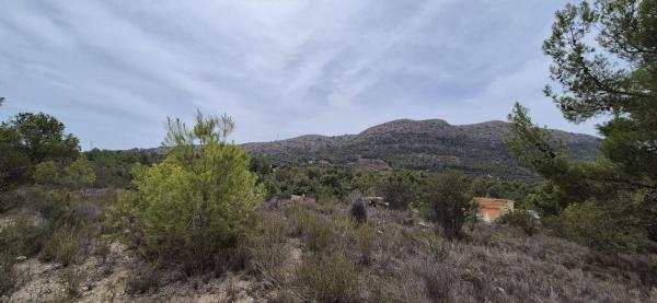 Finca rústica en venta en  Finca rústica en Finestrat Pueblo, Finestrat , Finestrat photo 3