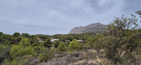 Finca rústica en venta en  Finca rústica en Finestrat Pueblo, Finestrat , Finestrat photo 4