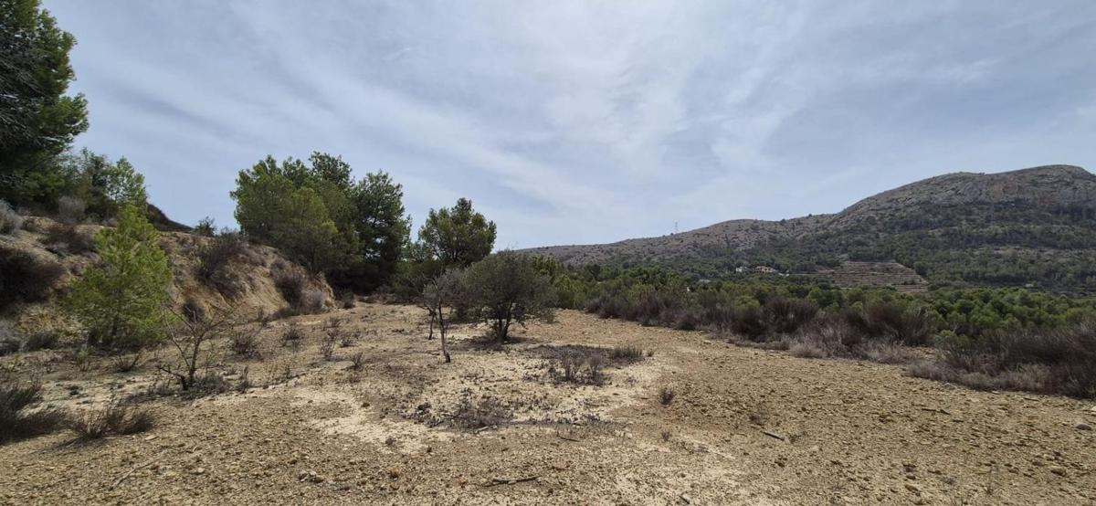 Venta de finca rústica en  Finca rústica en Finestrat Pueblo, Finestrat , Finestrat photo 5
