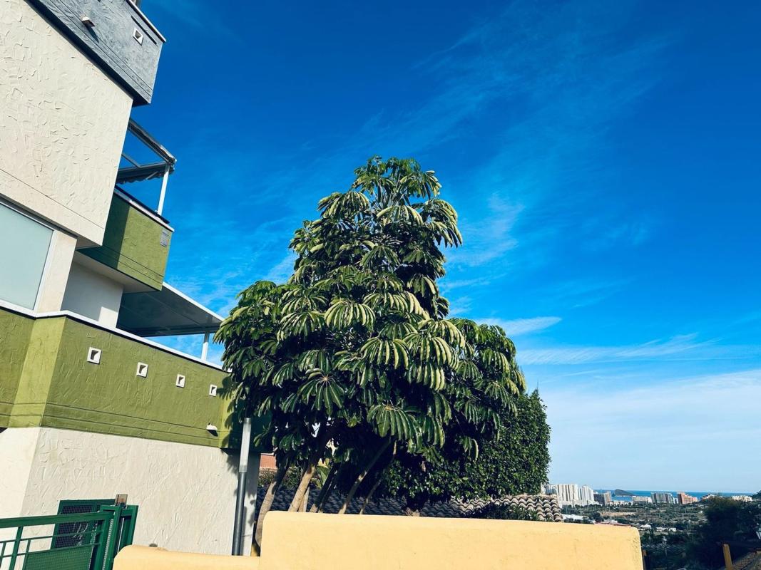 Продажа квартиры на Piso en Avenida Costa Blanca, 3, Balcón de Finestrat-Terra Marina, Finestrat, Финестрат
 photo 2