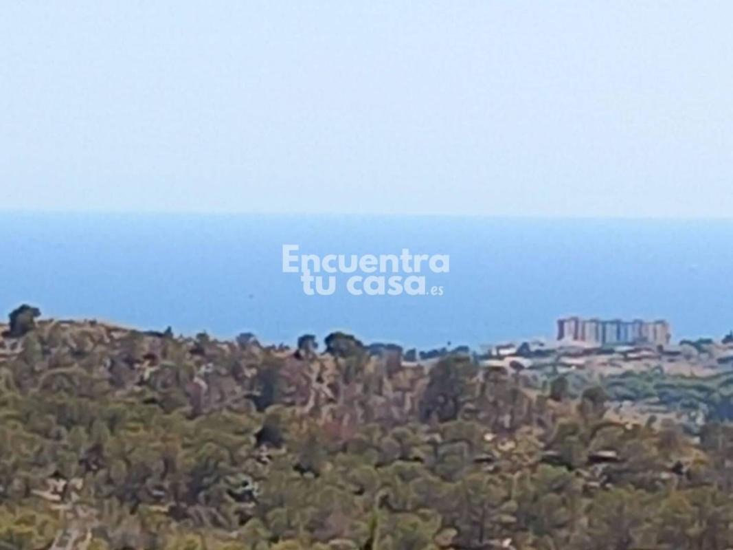 Properties for sale and rent in Spain photo 5
