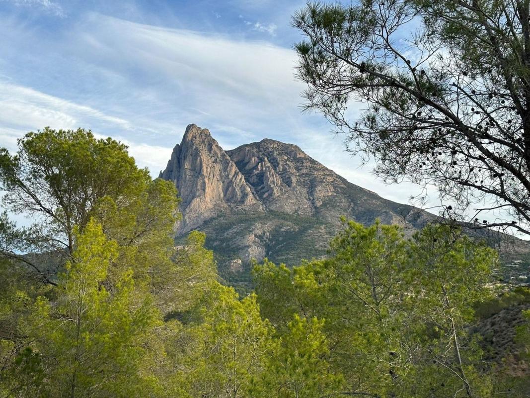 Propiedades en venta y alquiler en España photo 2
