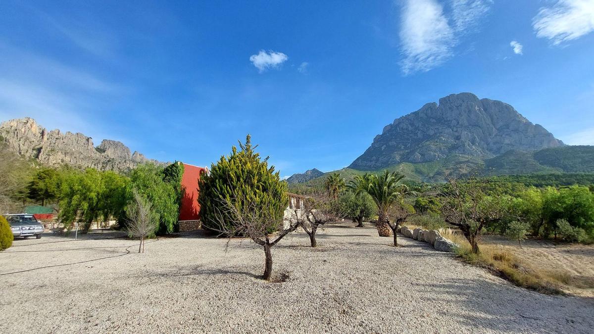 Properties for sale and rent in Spain photo 5