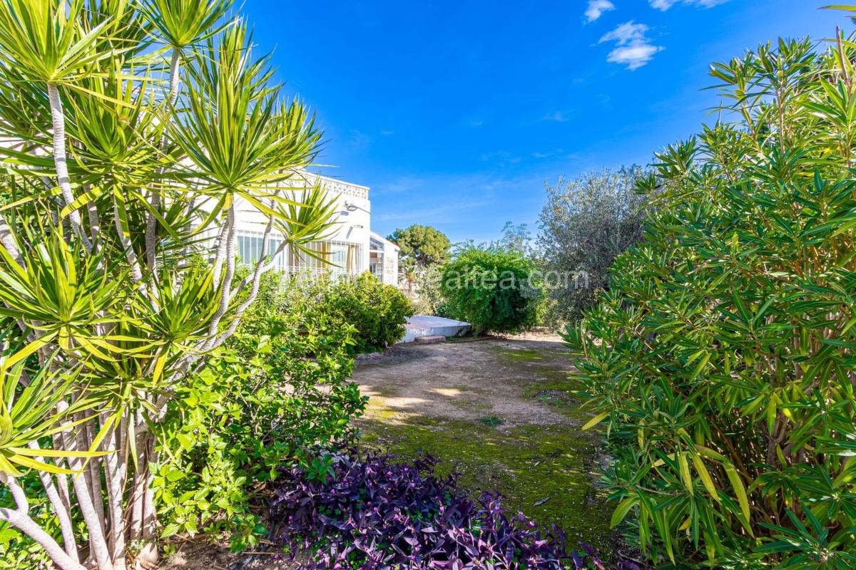 Properties for sale and rent in Spain photo 5