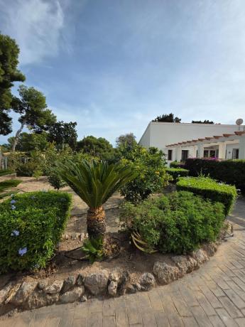 Casa o chalet independiente en Colonia Escandinavia-Cautivador, Alfaz del Pi photo 3