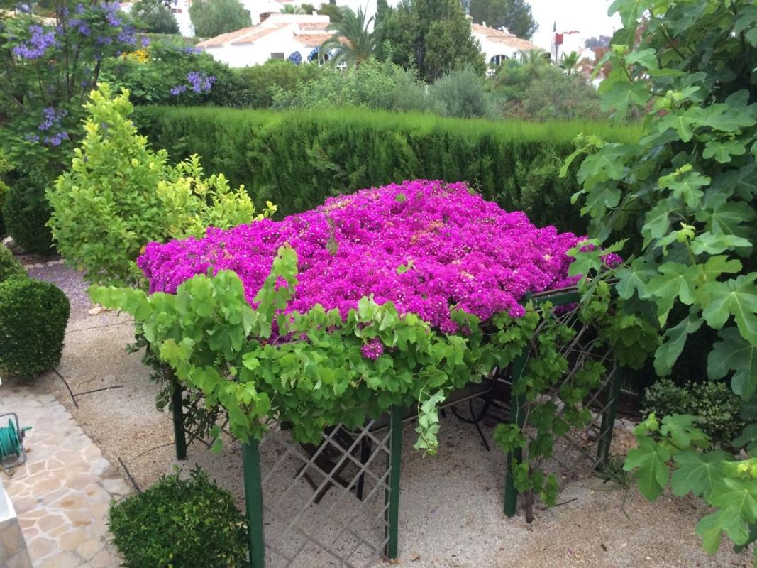 Venta de chalet independiente en Casa o chalet en Centro Ciudad, Jávea/Xàbia, Jávea/Xàbia
 photo 2