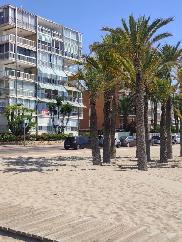 Venta de piso en Piso en Avenida Vicente Llorca Alós, 16, Playa de Poniente, Benidorm, Benidorm
photo 1