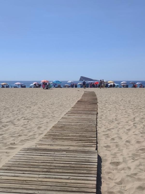 Venta de piso en Piso en Avenida Vicente Llorca Alós, 16, Playa de Poniente, Benidorm, Benidorm
photo 5