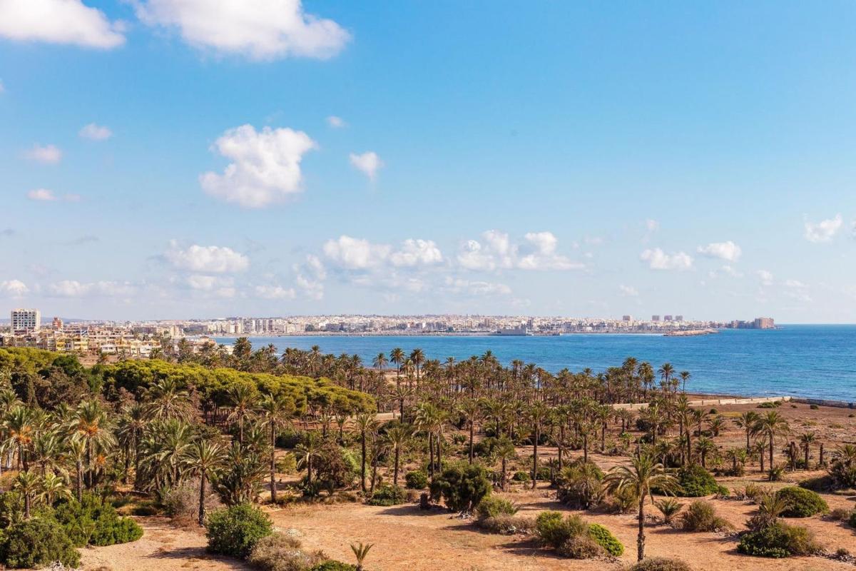 Sale of apartment in Piso en Calle Pleamar, 9, Punta Prima, Torrevieja, Torrevieja
photo 1