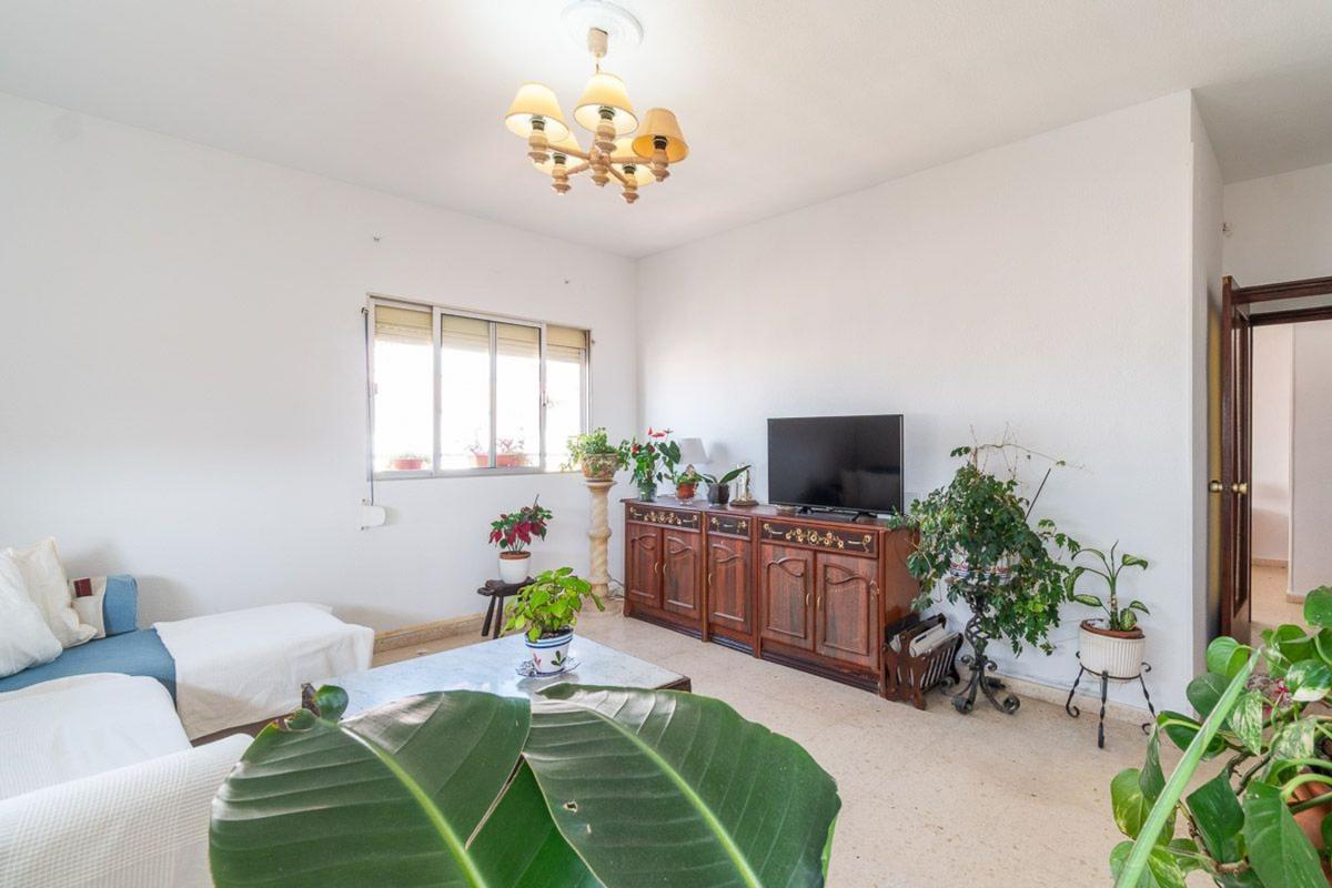 Sale of apartment in Piso en Las Piscinas Naturales, Torrevieja, Torrevieja
photo 3