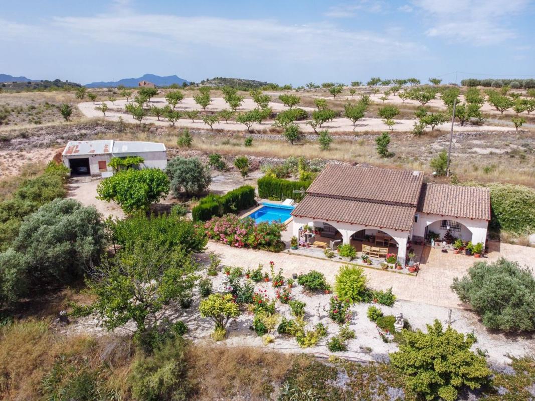 Properties for sale and rent in Spain photo 1