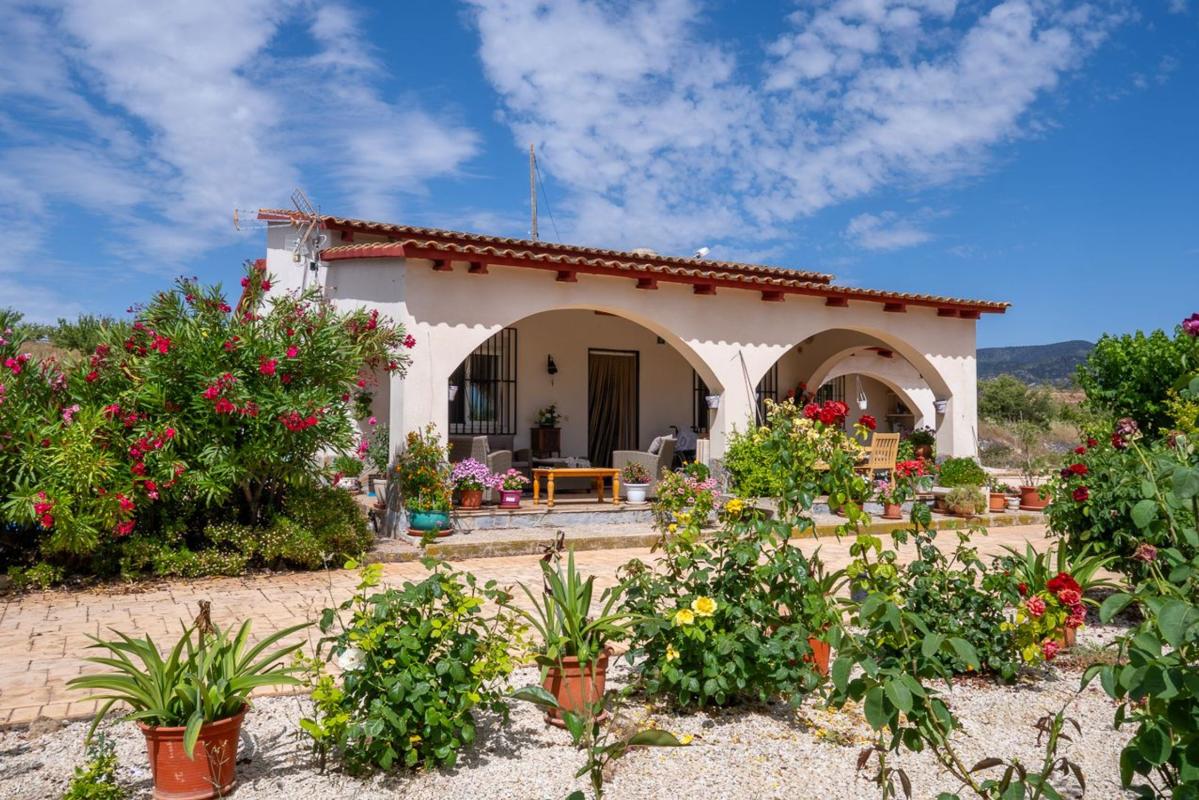 Properties for sale and rent in Spain photo 4
