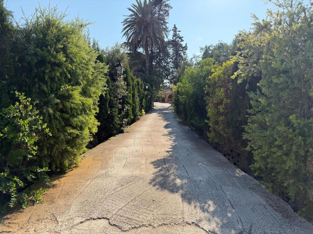 Properties for sale and rent in Spain photo 2