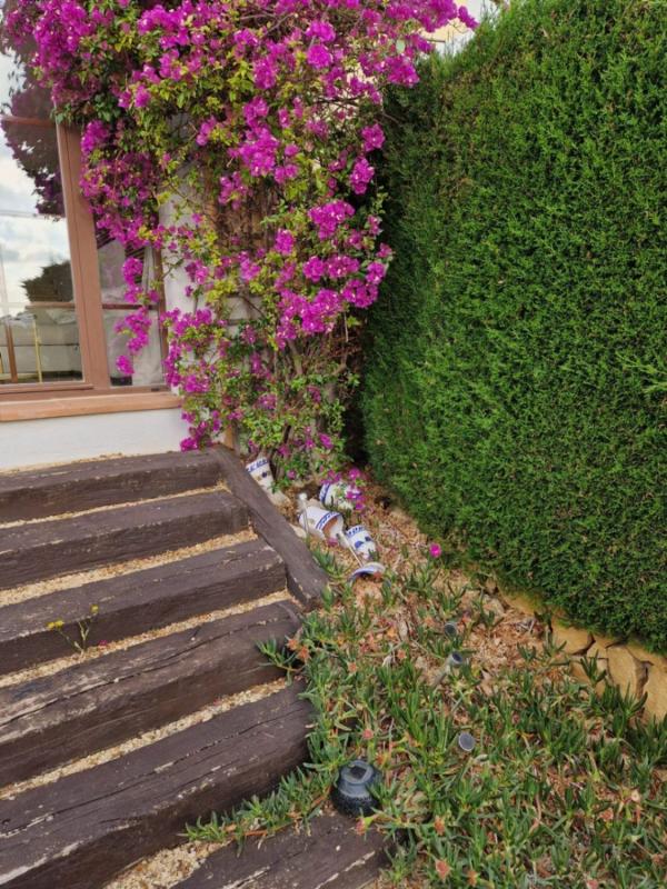 Properties for sale and rent in Spain photo 3