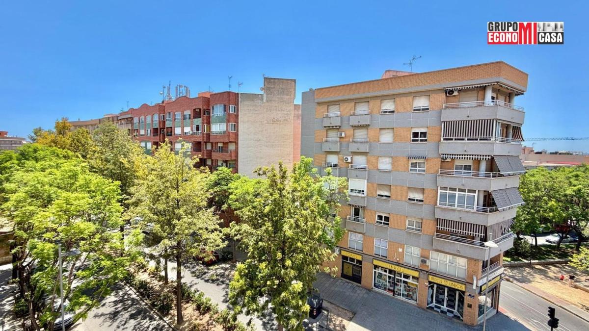 Venta de piso en Piso en Alcalde Felipe Mallol, San Vicente del Raspeig, San Vicente del Raspeig
 photo 5