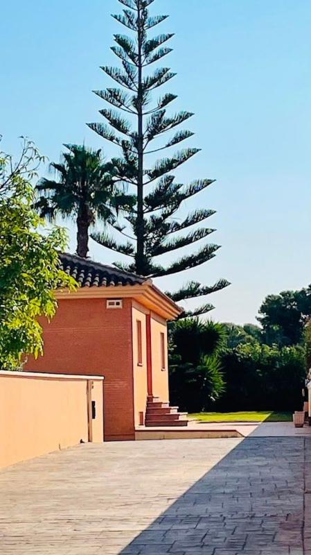 Properties for sale and rent in Spain photo 4