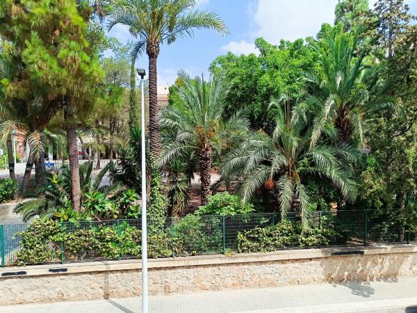 Venta de piso en Piso en Calle Carlos Antón Pastor, 11, San Crispín, Elche / Elx, Elche / Elx
 photo 2