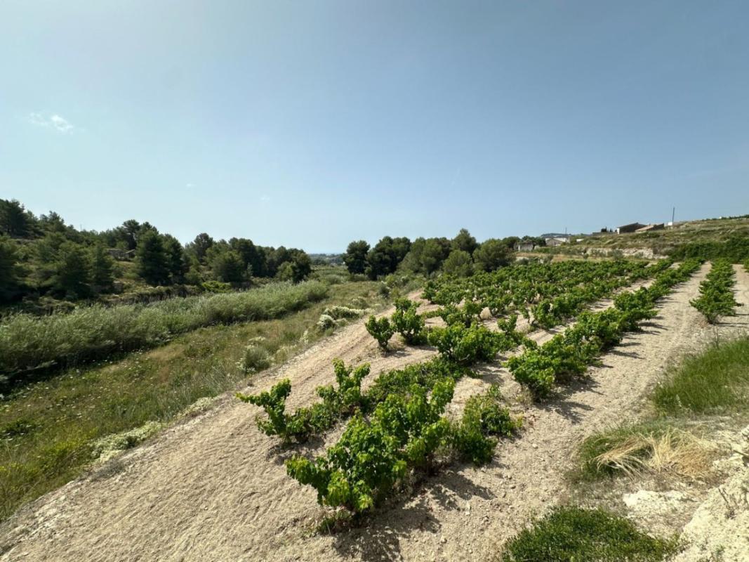 Terreno en venta en Teulada, Alicante photo 2